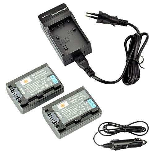 DSTE®（2 Pack） Ersatz Batterie und DC04E Reise Ladegerät Compatible für Sony NP-FH50 DSLR-A290 DSLR-A330 DSLR-A380 DSLR-A390 DSC-HX1 DSC-HX100V DSC-HX200V HDR-TG5V HDR-TG1E HDR-TG3 HDR-TG5 HDR-TG7 von DSTE