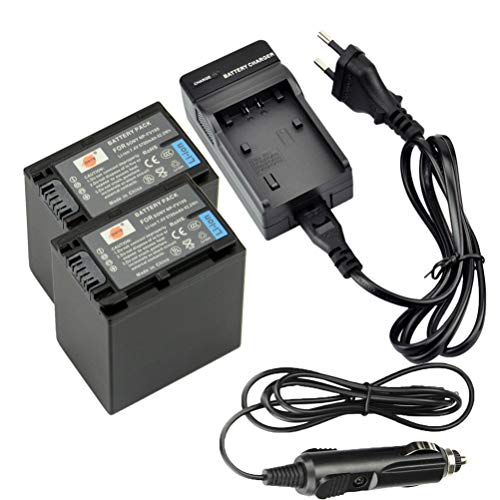 DSTE®（2-Pack） NP-FV100 Ersatz Batterie und DC04E Reise Ladegerät Kompatibel für Sony DCR-SR15 DCR-SR21 DCR-SR68 DCR-SR88 DCR-SX15 DCR-SX21 DCR-SX45 DCR-SX63 DCR-SX65 DCR-SX83 DCR-SX85 von DSTE