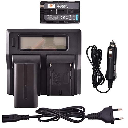 DSTE® 2 Pack Ersatz Batterie NP-F550 + LCD Dual Ladegerät Compatible für Sony NP-F570,NP-F330,CCD-SC9,CCD-TR11,CCD-SC55,TR910,TR917,Handycams,Neewer,Nanguang CN-160,CN-216,CN-126 Kamera LED Light von DSTE