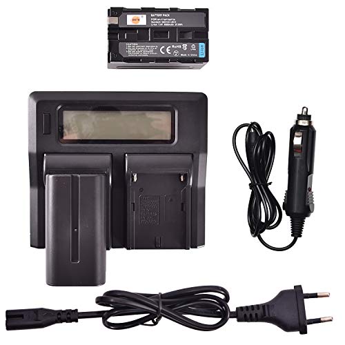 DSTE® 2 Pack Ersatz Batterie NP-F770 + LCD Dual Ladegerät Compatible für Sony NP-F750,CCD-SC5,DCR-TRV820K,CCD-SC65,DCR-TRV9,CCD-TRV82,DCR-TRV900,CCD-TR3000,CCD-TRV85,DCR-VX200,CCD-TR3300 von DSTE
