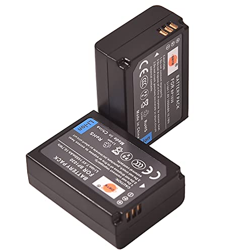 DSTE 2-Pack Ersatz Batterie Akku for Samsung BP-1030 ED-BP1030 NX200 NX210 NX300 NX300M NX500 NX1000 NX1100 NX2000 Kamera von DSTE