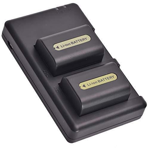 DSTE 2-Stück Ersatzakku Set NP-FH50 Batterie + Dual-Ladegerät USB kompatibel mit Sony DSLR-A230 DSLR-A290 DSLR-A330 DSLR-A380 DSLR-A390 DSTE 2-Stück Ersatzakku Set NP-FH50 Batterie + Dual-Ladegerät USB kompatibel mit Sony DSLR-A230 DSLR-A290 DSLR-A330 DSLR-A380 DSLR-A390 von DSTE