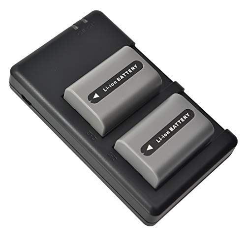 DSTE 2-Stück Ersatzakku Set NP-FP50 Batterie + Dual-Ladegerät USB kompatibel mit Sony DCR-SR50 DCR-SR60 DCR-SR70 DCR-SR80 DCR-SR90 DCR-SR100 HDR-HC3 von DSTE