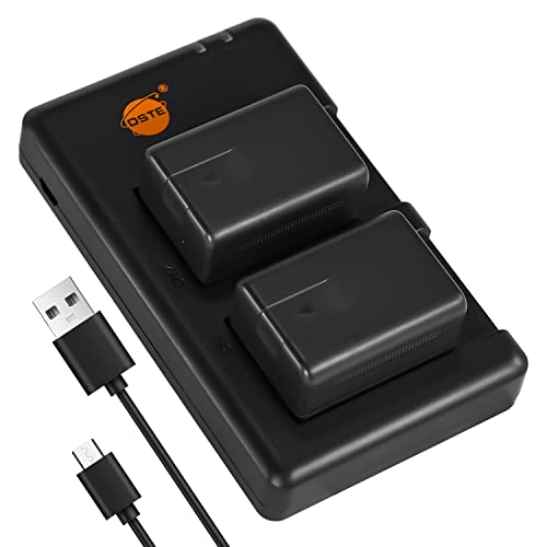 DSTE 2PCS VW-VBK180(2500mAh/3.7V) Batterie Ladegerät Compatible für HC-V10,HC-V100,HC-V100M,HC-V500,HC-V700,HC-V700M,HDC-HS60,HDC-HS80,HDC-SD40,HDC-SD60,HDC-SD80,HDC-SD90 Digital Kamera von DSTE