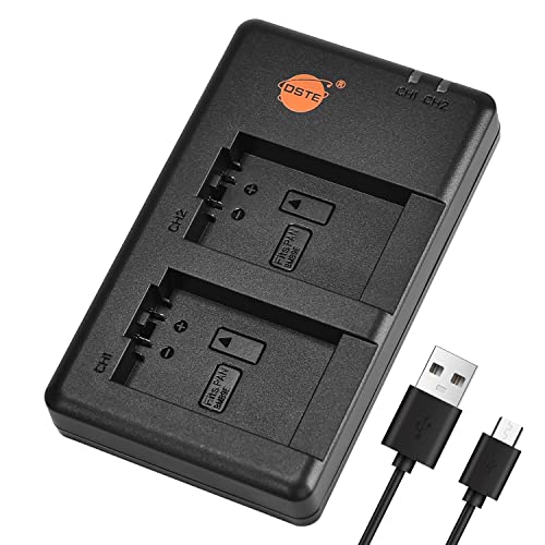 DSTE DE-A83 DE-A83BA DE-A84 DE-A84AA DE-A84AB Batterie USB Dual Quick Ladegerät Compatible für DMW-BMB9E,DMW-BMB9,Leica BP-DC9,Panasonic Lumix DMC-FZ62,DMC-FZ70,DMC-FZ72,DMC-FZ100,DMC-FZ150,V-Lux3 von DSTE