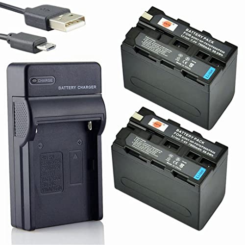 DSTE NP-F970 Li-Ionen Batterie (2-Pack) und Micro USB Ladegerät Anzug kompatibel mit Sony CCD-TR716 CCD-TR818 CCD-TR910 CCD-TR917 CCD-TR930 CCD-TR940 von DSTE