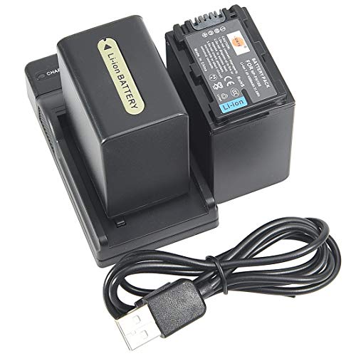 DSTE NP-FH100 Li-Ionen Batterie (2-Pack) und Micro USB Ladegerät kompatibel mit Sony DCR-DVD403 DCR-DVD405E DCR-DVD406 DCR-DVD406E DCR-DVD407E von DSTE