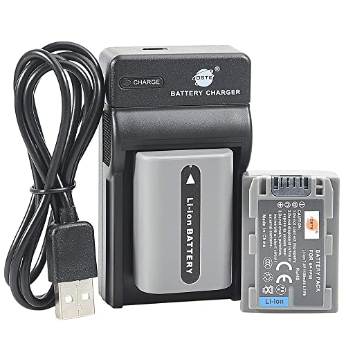 DSTE NP-FP50 Li-ION Akku (2er-Pack) und USB-Ladegerät, kompatibel mit Sony DCR-DVD103, DCR-DVD105, DCR-DVD203, DCR-DVD205, DCR-DVD305, DCR-DVD92, DCR-HC20 von DSTE