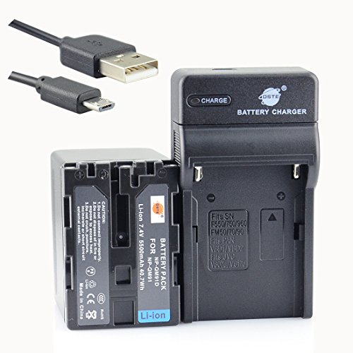 DSTE NP-QM91D Li-Ionen Batterie und Micro USB Ladegerät Anzug kompatibel mit Sony CCD-TRV108E, CCD-TRV118, CCD-TRV126, CCD-TRV218E, CCD TRV308 von DSTE