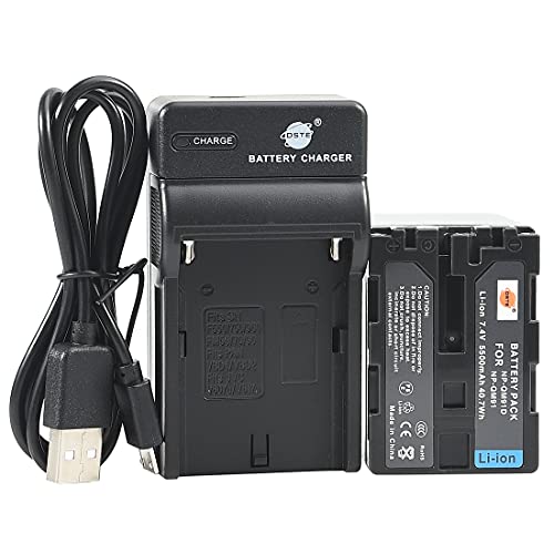 DSTE NP-QM91D Li-Ionen Batterie und Micro USB Ladegerät Anzug kompatibel mit Sony CCD-TRV108E, CCD-TRV118, CCD-TRV126, CCD-TRV218E, CCD TRV308 von DSTE