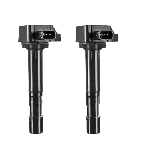 DTYBJN Ignition Coil 30520P8EA01 Zündspulen passend für Honda für Acura für Odyssey für Accord für MDX für C1221 Zündungskabel(2PCS) von DTYBJN