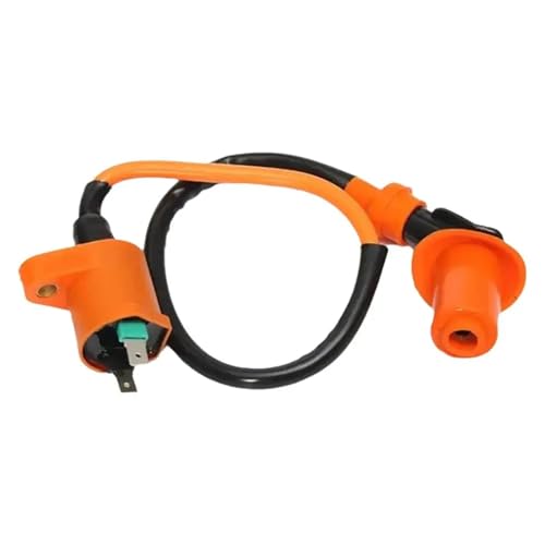 DTYBJN Ignition Coil 6 Pins AC CDI Box Zündspule Zündkerze Für GY6 50 80 110 125 150cc Moped Roller ATV Go-Karts Zündungskabel DTYBJN Ignition Coil 6 Pins AC CDI Box Zündspule Zündkerze Für GY6 50 80 110 125 150cc Moped Roller ATV Go-Karts Zündungskabel von DTYBJN