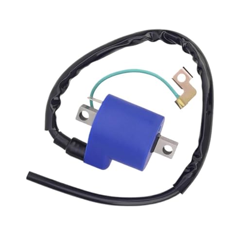 DTYBJN Ignition Coil Motorrad Zündspule Hochdruck Spule Für Hyosung GT250 GV250 GT250R GV 125 GT 125 GT125R GV250 125 2003-2010 Zündungskabel DTYBJN Ignition Coil Motorrad Zündspule Hochdruck Spule Für Hyosung GT250 GV250 GT250R GV 125 GT 125 GT125R GV250 125 2003-2010 Zündungskabel von DTYBJN