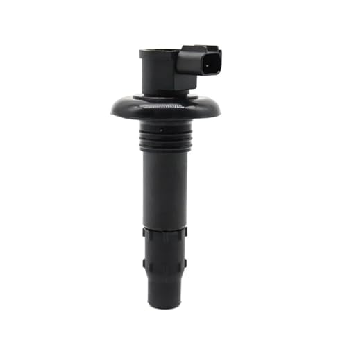 DTYBJN Ignition Coil Zündspule Kit 420664020 AUTO Für SeaDoo GTI Stick GTX GTS GTR RXT RXP WAKE 4-TEC 4TEC 130 155 185 Zündungskabel(1pcs) von DTYBJN