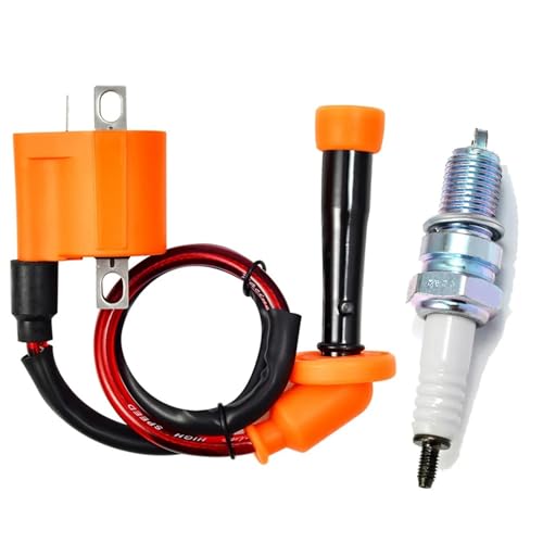 DTYBJN Ignition Coil Zündspule und Zündkerze für Suzuki LTZ400 LT Z400 für Quadsport Z400 2003-2009 Zündungskabel DTYBJN Ignition Coil Zündspule und Zündkerze für Suzuki LTZ400 LT Z400 für Quadsport Z400 2003-2009 Zündungskabel von DTYBJN
