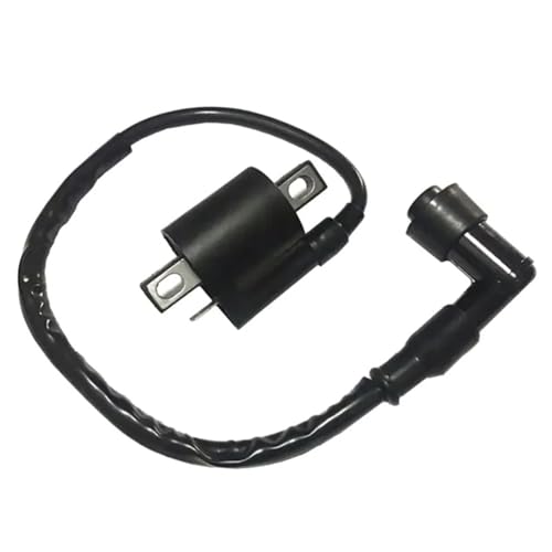 Ignition Coil Zündspule Für ZÜNDKERZE CDI Für 125cc 150cc 200cc 250cc Roller ATV Motorrad Dirt Bike Go Kart Moped Zündungskabel Ignition Coil Zündspule Für ZÜNDKERZE CDI Für 125cc 150cc 200cc 250cc Roller ATV Motorrad Dirt Bike Go Kart Moped Zündungskabel von DTYBJN