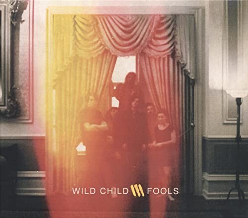 Fools [Vinyl LP] von DUALTONE