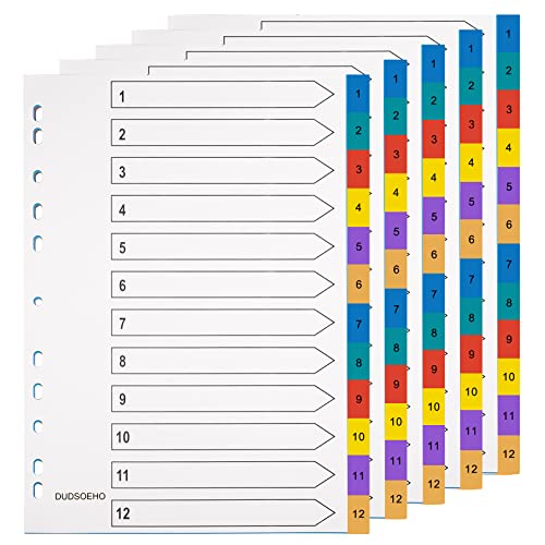 DUDSOEHO Trennblätter für Ordner A4 12-teilig - 5er-Packung Ordner-Trennblätter, farbiges Mylar für Aktenordner, poröse Mehrzweck-Indexteiler von DUDSOEHO