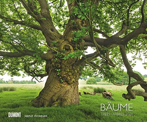 Bäume - Kalender 2024 - DUMONT-Verlag - Fotokunst-Kalender - Wandkalender - 60 cm x 50 cm von Dumont Kalenderverlag