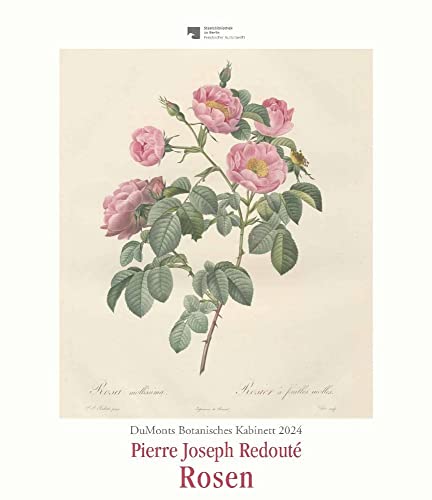 DUMONTS Botanisches Kabinett - Redouté Rosen - Kalender 2024 - DUMONT-Verlag - Wandkalender - Kunstkalender - 34,5 cm x 40 cm von DUMONT