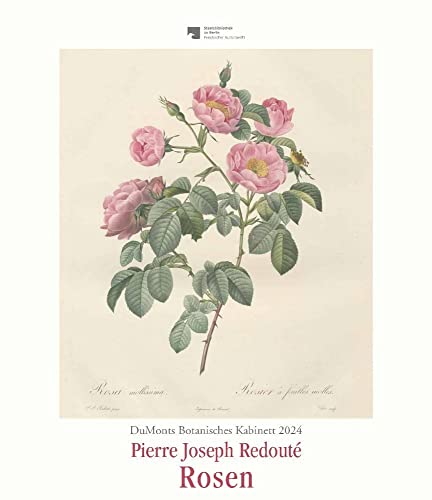 DUMONTS Botanisches Kabinett - Redouté Rosen - Kalender 2024 - DUMONT-Verlag - Wandkalender - Kunstkalender - 34,5 cm x 40 cm von Dumont Kalenderverlag