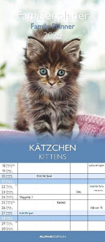 Familienplaner Kätzchen - Kalender 2024 - Alpha Edition-Verlag - Wandkalender mit 5 Spalten zum Eintragen - Familienkalender - 19,5 cm x 45 cm von DUMONT
