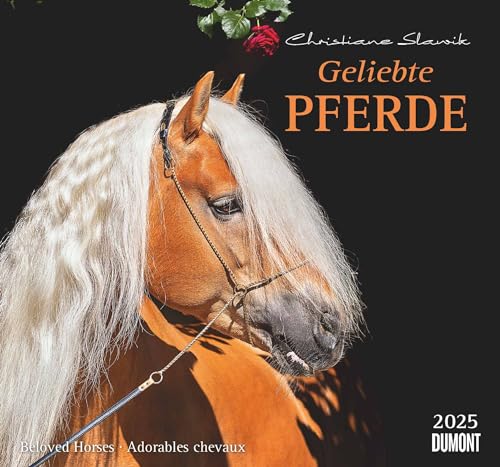 Geliebte Pferde 2025 – DUMONT-Wandkalender – Pferdefotografie von Christiane Slawik Format – 38,0 x 35,5 cm von DUMONT
