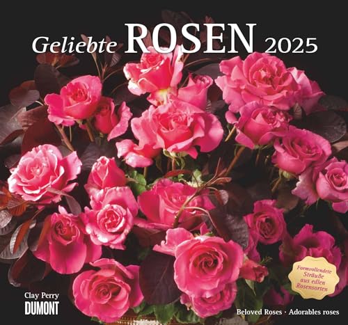 Geliebte Rosen 2025 – DUMONT Wandkalender – mit allen wichtigen Feiertagen – Format 38,0 x 35,5 cm von DUMONT