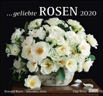 Geliebte Rosen - Kalender 2020 - DuMont-Verlag - Wandkalender mit zauberhaften Aufnahmen - 38 cm x 35,5 cm von Dumont Kalenderverlag