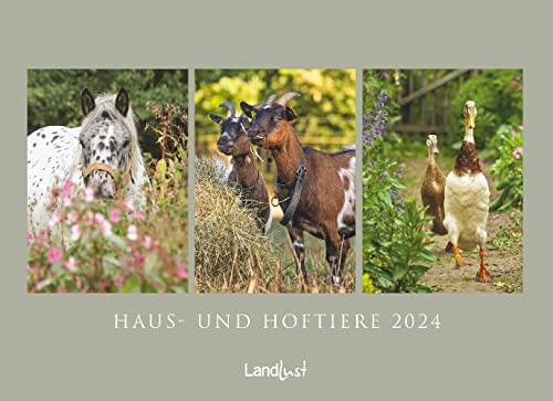 Haus- und Hoftiere - Kalender 2024 - Landlust - Fotokalender - Wandkalender mit "stimmungsvollen Bildern - 45 cm x 62 cm von DUMONT