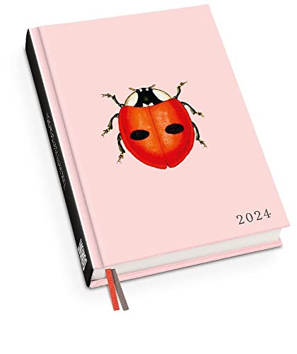 Marienkäfer - Taschenkalender 2024 - DUMONT-Verlag - Eine Woche auf zwei Seiten - Terminplaner - 11,3 cm x 16,3 cm von DUMONT