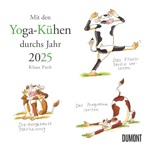 Mit den Yoga-Kühen durchs Jahr 2025 – Wandkalender – Quadratformat 23 x 23 cm von DUMONT