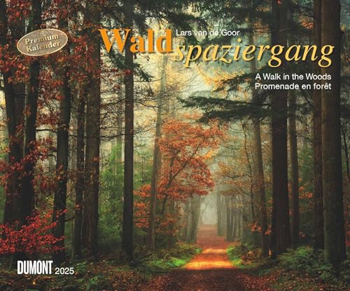 Waldspaziergang 2025 – Fotokunst-Kalender – Querformat 60 x 50 cm – Spiralbindung von DUMONT