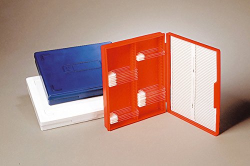 DUTSCHER 037517 Boîte économique pour 25 lames de microscopie (coloris rouge) von DUTSCHER