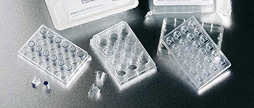 DUTSCHER 432016 Cuve en acier inox 304L, modèle MultiControl 2, 18 L, gamme de température 140 Degré C DUTSCHER 432016 Cuve en acier inox 304L, modèle MultiControl 2, 18 L, gamme de température 140 Degré C von Falcon