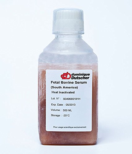 DUTSCHER S0250-500 SERUM Animal, Bovine Serum (France Origin), 500 mL von DUTSCHER