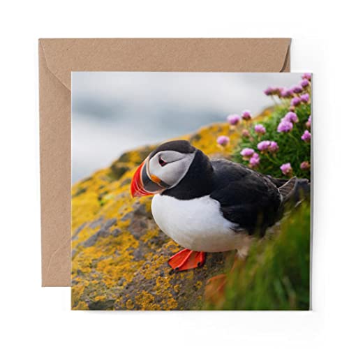 1 x Grußkarte (Fotoeinsatz) – Atlantic Puffin Bird – blanko Geburtstagsfeier Jahrestag #21164 von DV Design