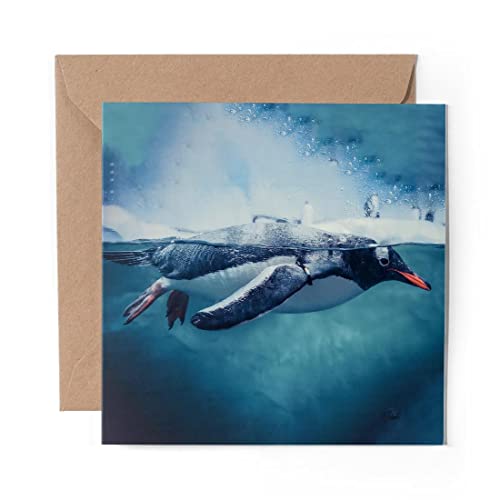1 x Grußkarte (Fotoeinsatz) – Gentoo Pinguin Schwimmen unter Wasser – blanko Geburtstagsfeier Jahrestag #45142 von DV Design