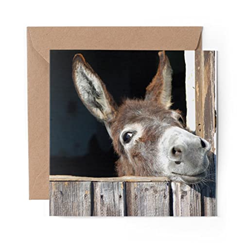 1 x Grußkarte (Fotoeinsatz) – Niedlicher Esel Tier Pferd Wild – blanko Geburtstagsfeier Jahrestag #8260 von DV Design