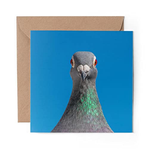 1 x Grußkarte (Fotoeinsatz) – blaues Tauben-Vogelgesicht, Rennvögel, blanko Geburtstag, Feier, Jahrestag, #44381 von DV Design