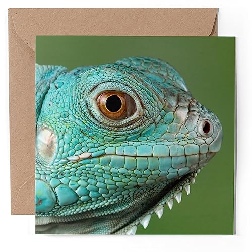 1 x Grußkarte – Grand Cayman Blue Iguana Eidechse Natur – blanko Geburtstag Feier Jahrestag #51061 von DV Design