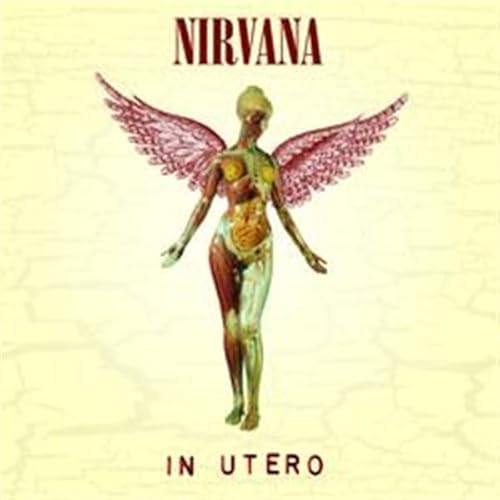 Nirvana - In Utero (BRD audio) [Blu-ray] von DVD