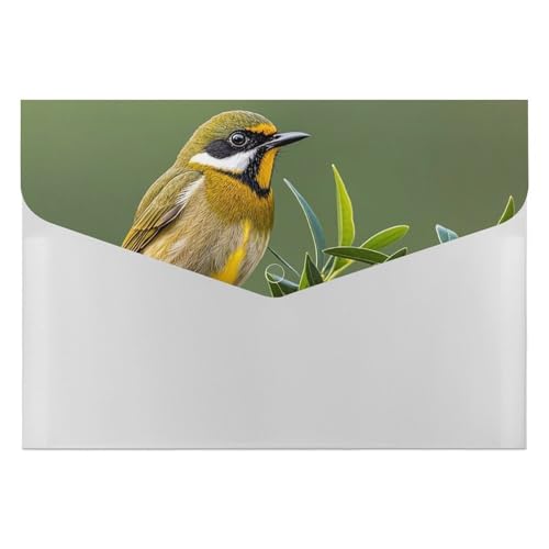 Aktenordner für den Außenbereich, olivgrün, Blumen-Vögel, Organizer, langlebig, mit 6 Fächern, Ordner für Aktenschrank, Büro, Lebenslauf-Portfolio Aktenordner für den Außenbereich, olivgrün, Blumen-Vögel, Organizer, langlebig, mit 6 Fächern, Ordner für Aktenschrank, Büro, Lebenslauf-Portfolio von DWTJKMS