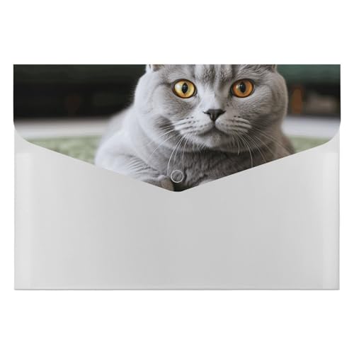 Aktenordner mit Katze auf Teppich, langlebig, mit 6 Fächern, Ordner für Aktenschrank, Büro, Lebenslauf-Portfolio Aktenordner mit Katze auf Teppich, langlebig, mit 6 Fächern, Ordner für Aktenschrank, Büro, Lebenslauf-Portfolio von DWTJKMS