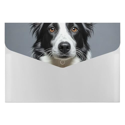 Border Collie Aktenordner, Organizer, langlebig, mit 6 Fächern, Ordner für Aktenschrank, Büro, Lebenslauf-Portfolio Border Collie Aktenordner, Organizer, langlebig, mit 6 Fächern, Ordner für Aktenschrank, Büro, Lebenslauf-Portfolio von DWTJKMS