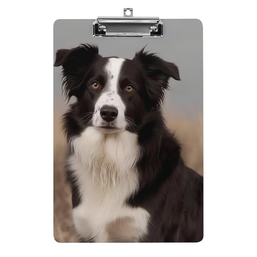 Border Collie Klemmbrett, Acryl, niedlich, modisch, dekorativ, 31,8 x 21,6 cm, Standard-A4-Größe, Acryl-Clip für Klassenzimmer, Lehrer, Bürobedarf Border Collie Klemmbrett, Acryl, niedlich, modisch, dekorativ, 31,8 x 21,6 cm, Standard-A4-Größe, Acryl-Clip für Klassenzimmer, Lehrer, Bürobedarf von DWTJKMS