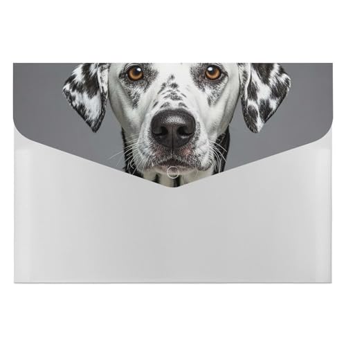 Dalmatiner-Aktenordner, Organizer, langlebig, mit 6 Fächern, Ordner für Aktenschrank, Büro, Lebenslauf-Portfolio Dalmatiner-Aktenordner, Organizer, langlebig, mit 6 Fächern, Ordner für Aktenschrank, Büro, Lebenslauf-Portfolio von DWTJKMS