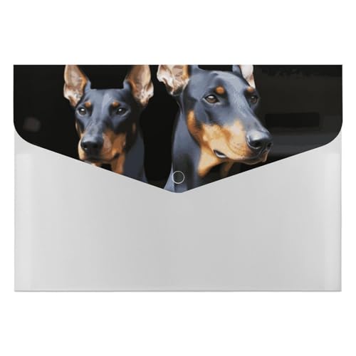 Doberman Aktenordner, Organizer, langlebig, mit 6 Fächern, Ordner für Aktenschrank, Büro, Lebenslauf-Portfolio Doberman Aktenordner, Organizer, langlebig, mit 6 Fächern, Ordner für Aktenschrank, Büro, Lebenslauf-Portfolio von DWTJKMS