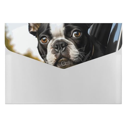 Dokumentenmappe, Motiv: Welpe, Hund, Boston Terrier, langlebig, mit 6 Fächern, Ordner für Aktenschrank, Büro, Lebenslauf-Portfolio Dokumentenmappe, Motiv: Welpe, Hund, Boston Terrier, langlebig, mit 6 Fächern, Ordner für Aktenschrank, Büro, Lebenslauf-Portfolio von DWTJKMS