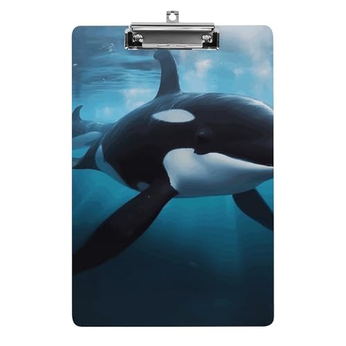 Killer Whale Klemmbrett aus Acryl, niedlich, modisch, dekorativ, 31,8 x 21,6 cm, Standard-A4-Größe, Acryl-Clip für Klassenzimmer, Lehrer, Bürobedarf Killer Whale Klemmbrett aus Acryl, niedlich, modisch, dekorativ, 31,8 x 21,6 cm, Standard-A4-Größe, Acryl-Clip für Klassenzimmer, Lehrer, Bürobedarf von DWTJKMS